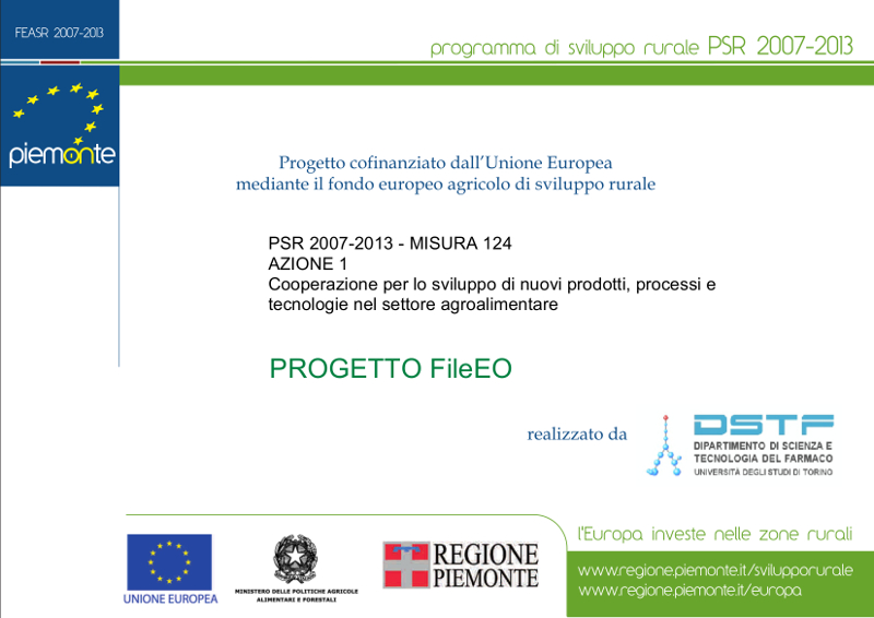 progetto_FILEO